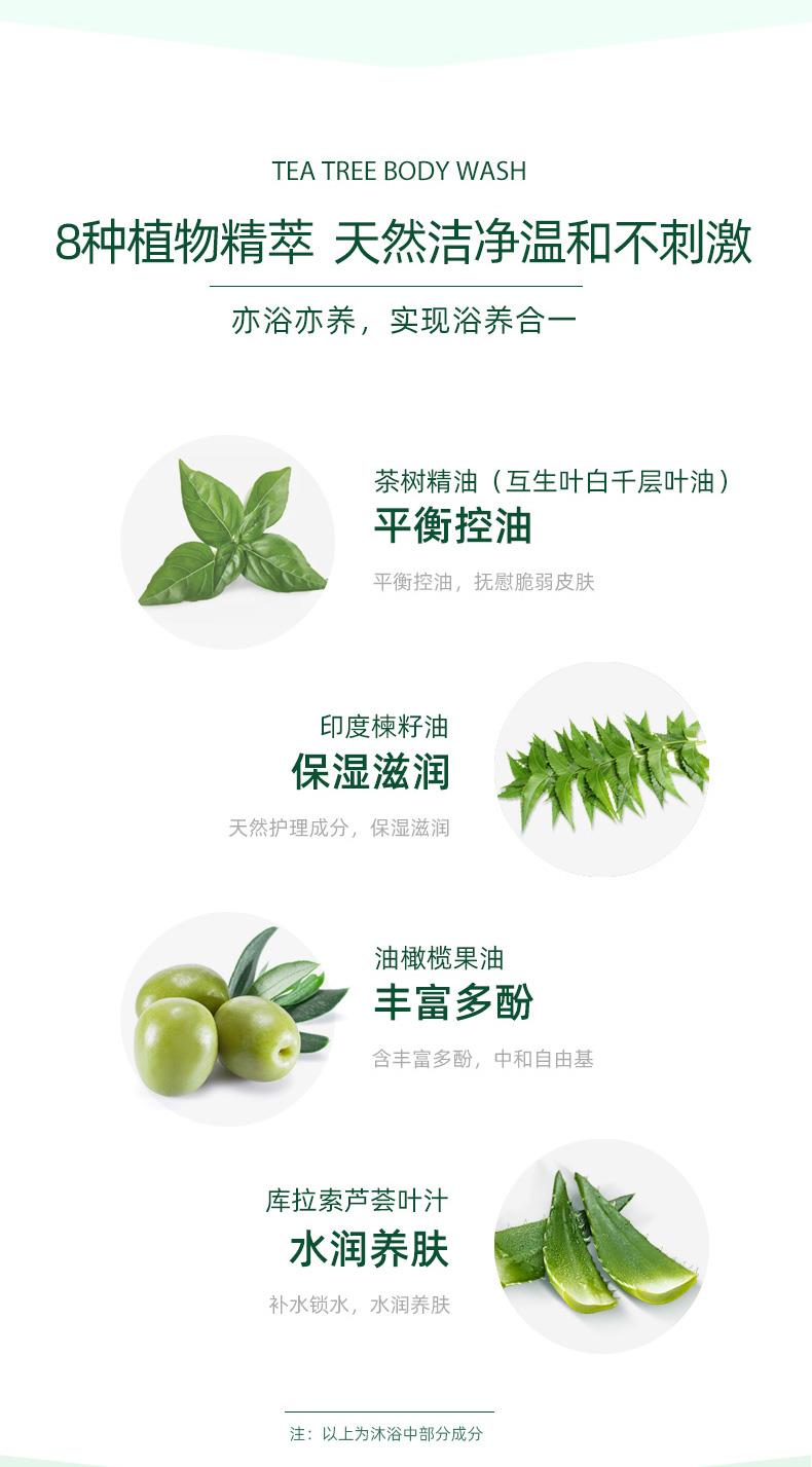 茶树沐浴_03.jpg