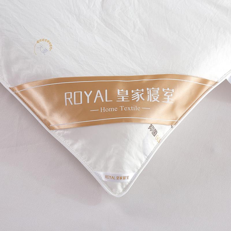 9F6A2365副本.jpg