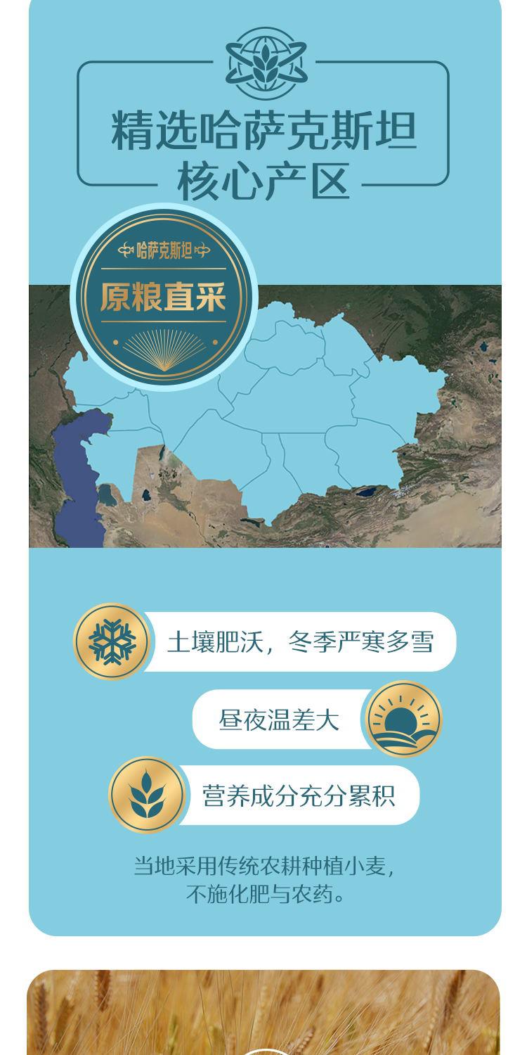 绿面_03.jpg