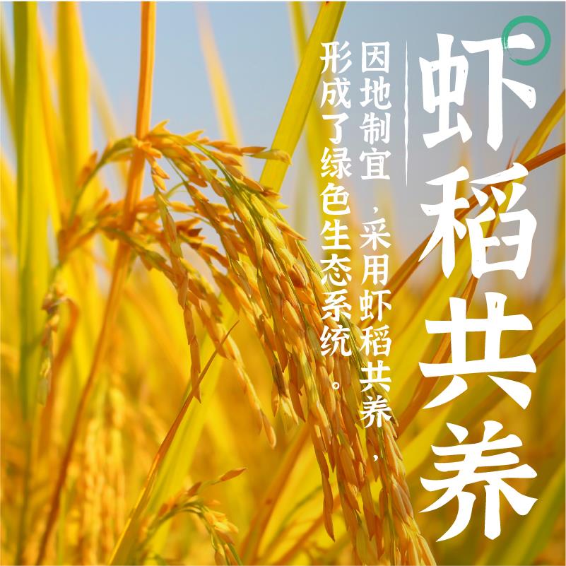 洞庭虾稻米详情页12.27-02.jpg