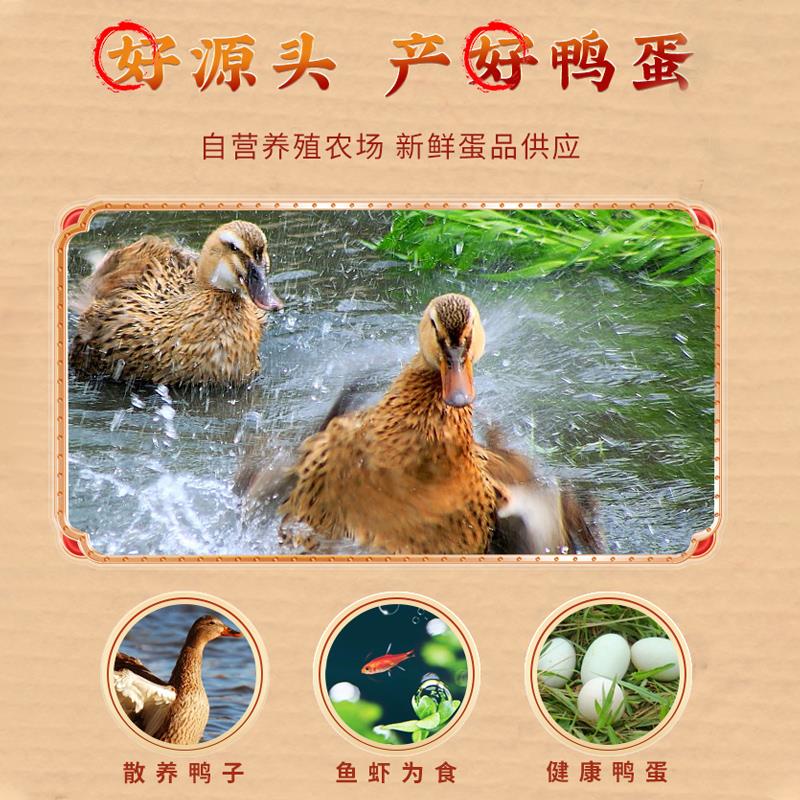 主图3.jpg