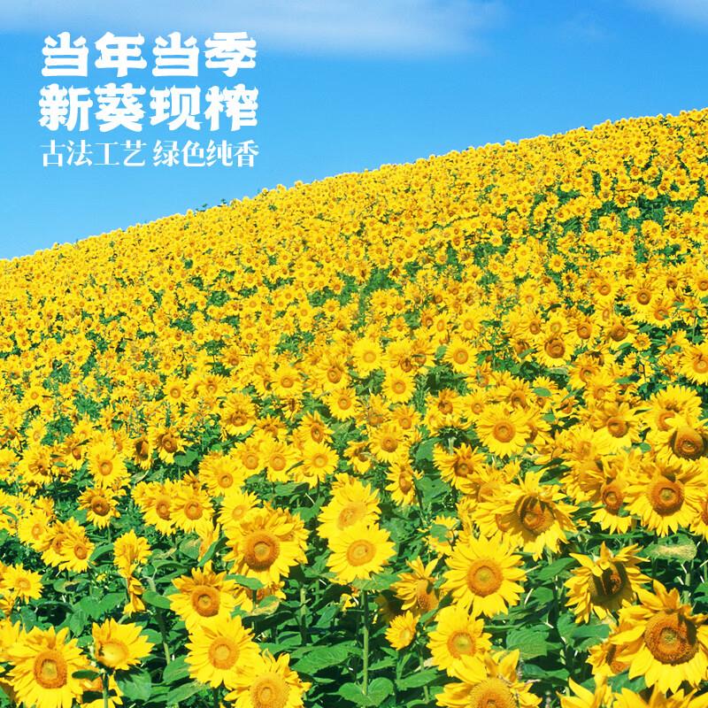 主图-04.jpg