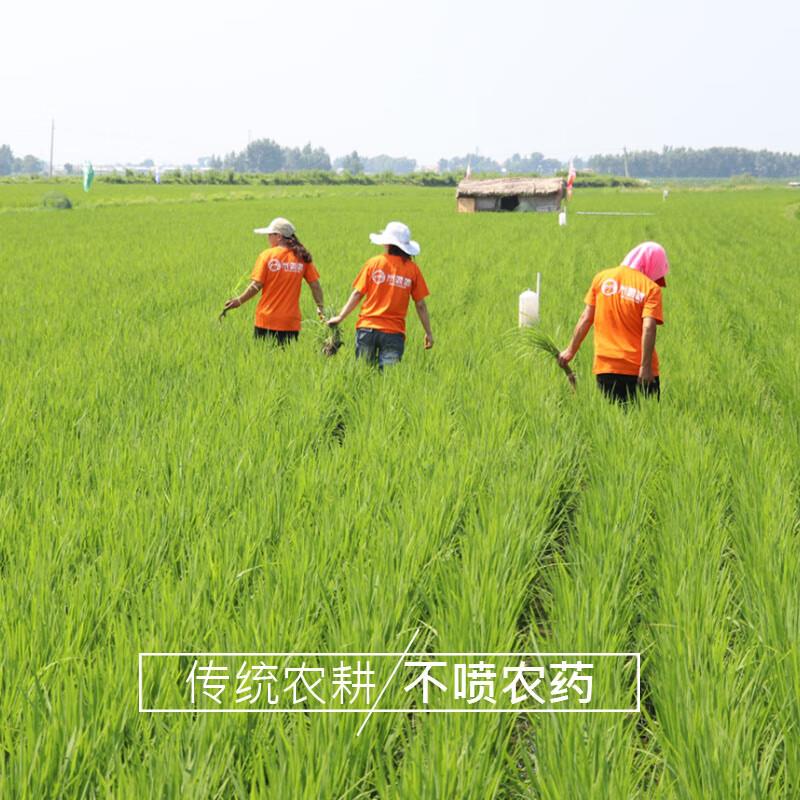 主图-02.jpg