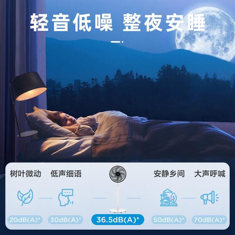 主图-06.jpg