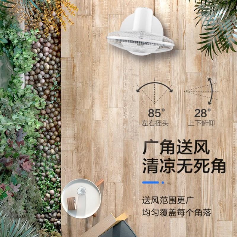主图-06.jpg